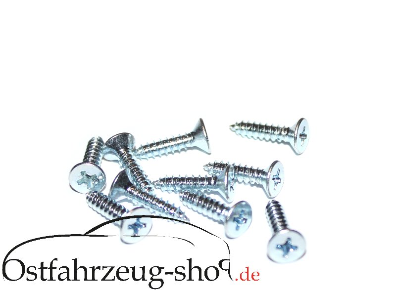 10 Stück Befestigungsschrauben für Kotflügel und Türpappen Trabant 601 / 1.1